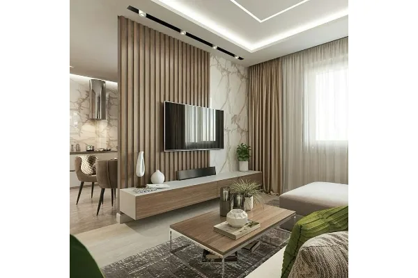 Living Room Furniture